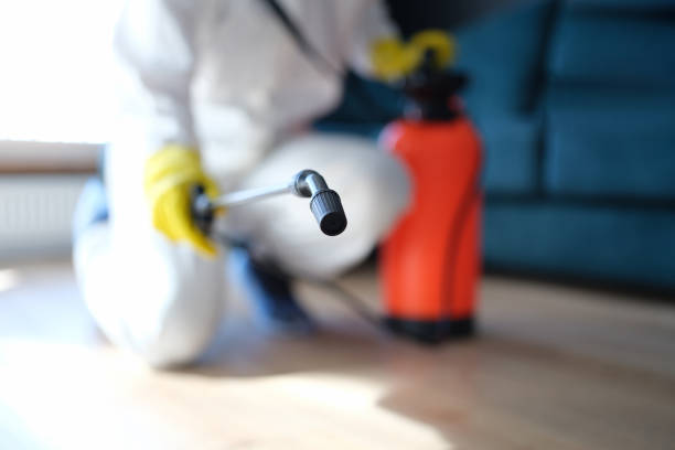 Best Industrial Mold Remediation  in Sugarmill Woods, FL